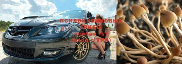 скорость Володарск